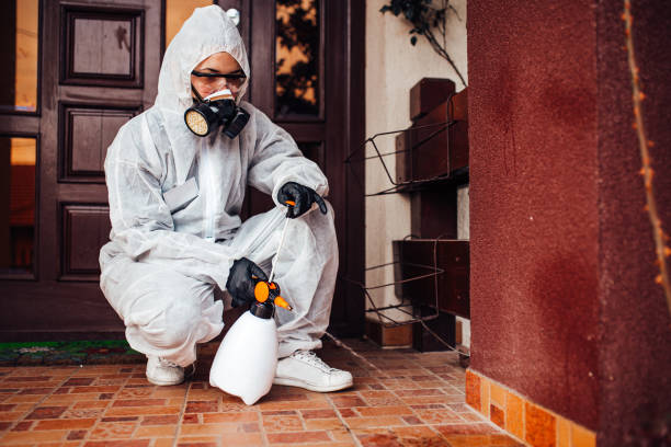 Reliable Cockroach Control contractor in Sugar Land, TX by Nex Pest Control