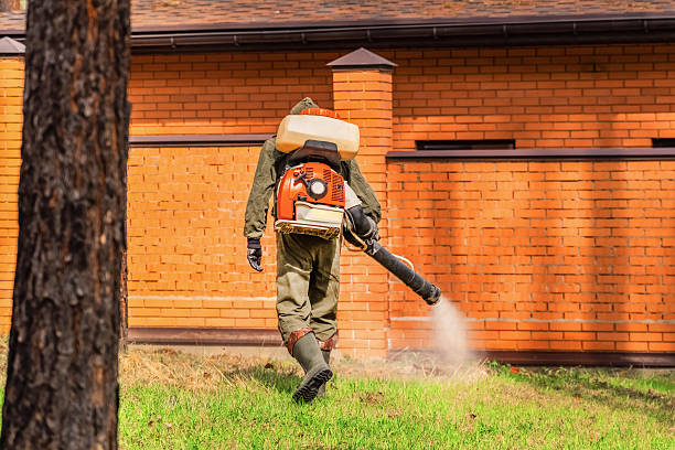 Trusted Emergency Pest Control service in Sugar Land, TX - Nex Pest Control